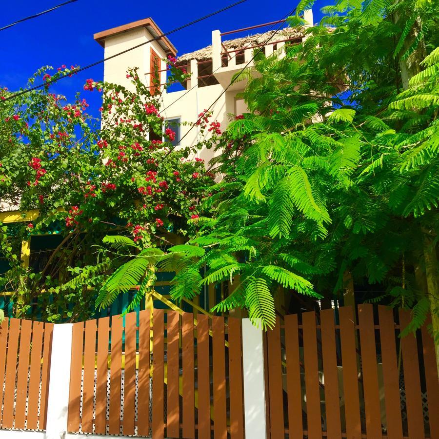 Yocamatsu Bed & Breakfast Caye Caulker Eksteriør bilde